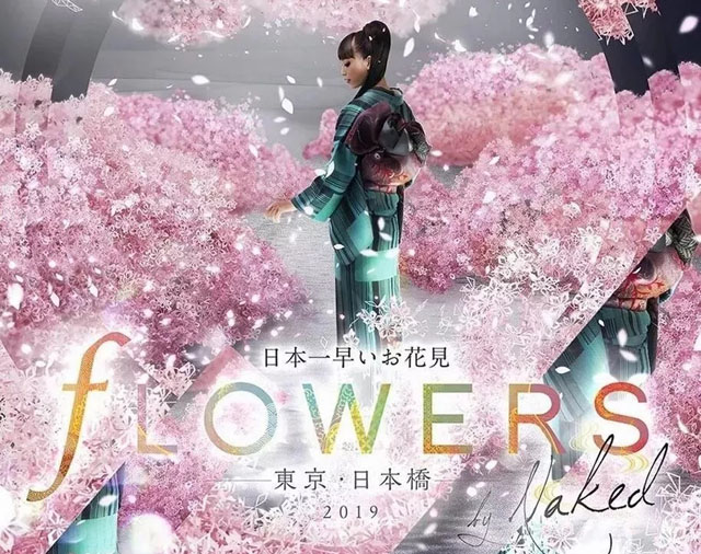 �ձ���Flowers by Naked����ý�wˇ�gչ